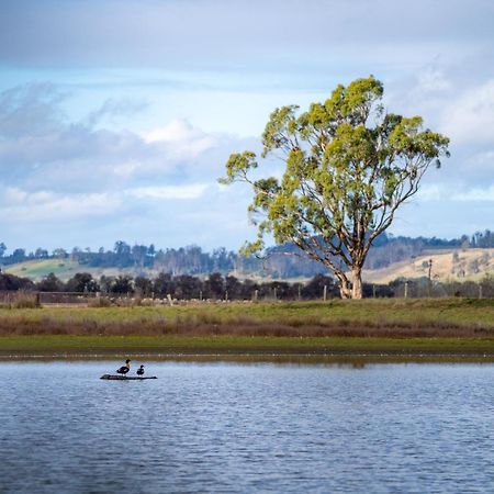 Blackwood Park Cottages Mole Creek Exteriér fotografie