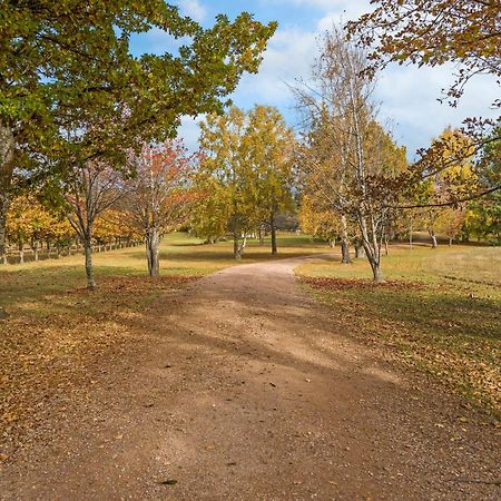 Blackwood Park Cottages Mole Creek Exteriér fotografie