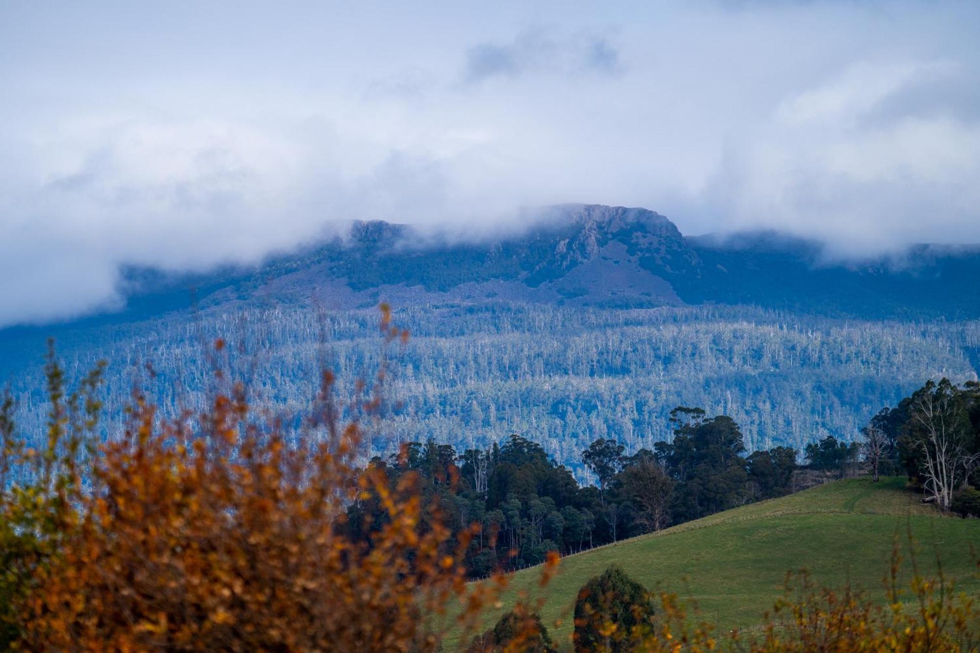 Blackwood Park Cottages Mole Creek Exteriér fotografie