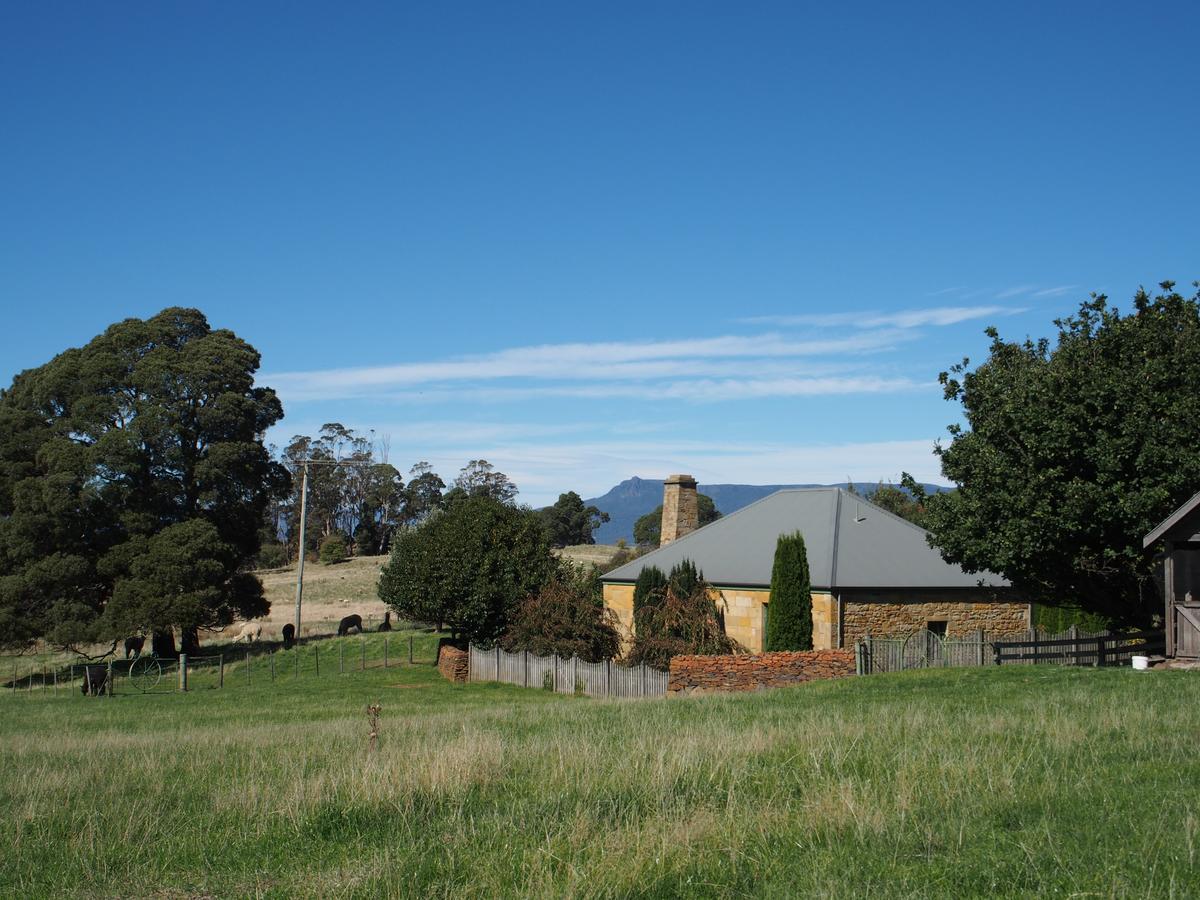 Blackwood Park Cottages Mole Creek Exteriér fotografie