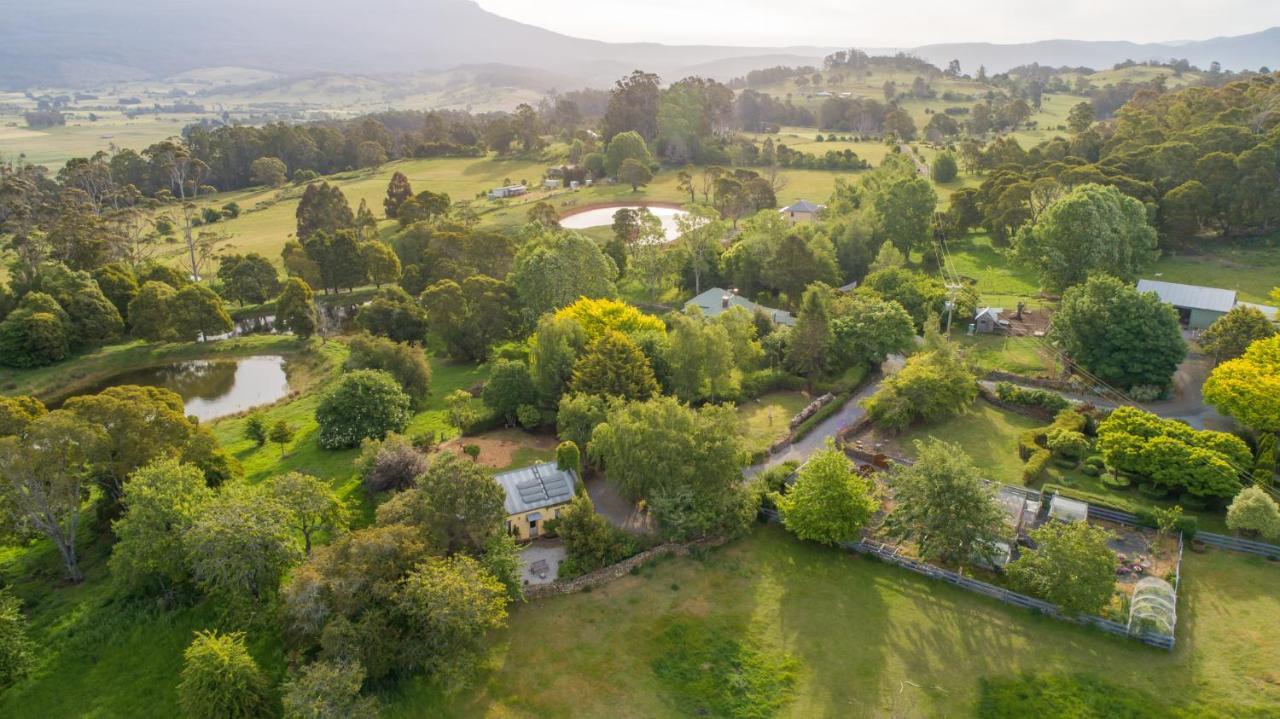 Blackwood Park Cottages Mole Creek Exteriér fotografie